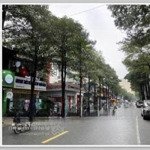 Bán nhà mặt phố trần đại nghĩa, vị trí đắc địa, kinh doanh sầm uất