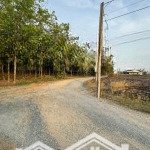 Bán đất tại xã phan, dương minh châu, tây ninh, giá tốt, 200m2