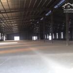 Cho thuê kho xưởng tại kcn đại đồng, tiên du, bắc ninh.dt 2500m2, 5000m2, 7000m2 pccc đầy đủ thành lập epe, fdi