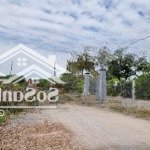 Lộc ninh dmc 5x59m thổ cư đường 6m, cách nhựa, trường học 150m, 440tr thương lượng