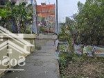 Chính chủ cần bán 45,2m tiên hội, xã đông hội , đông anh.