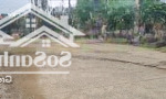 Bán 467m đất mặt đường trục chính xuân linh xã thủy xuân tiên chương mỹ