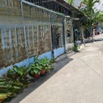 Bán nhà nát 5,2 x 22 (111m2) hẻm xe hơi 5m quang trung, gò vấp