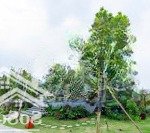 Bán gấp biệt thự hà nội tropical garden, 14 tỷ, 250m2, 5pn, 4wc, 3 tầng, hot
