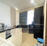 Cho thuê căn hộ the view (midori )tp mới bình dương visip2