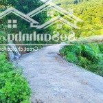 Bán gần 7ha,có hơn 300m thổ cư, +2200m cln và 6.8ha đất rừng sản xuất, tại kim bôi, hòa bình.