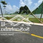 Bán đất phân lô trục chính đường liên xã minh phú sóc sơn 100m2 full thổ cư chưa tới 2 tỷ0979128269