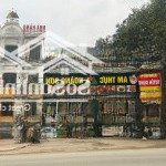 Cc bán đất mặt ql21 xuân mai, hà nội, 63m2 mt 8m kinh doanh đỉnh, giá đầu tư