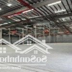 Cho thuê kho xưởng mới trong kcn phú mỹ, bà rịa vũng tàu 9000m2, 17.000m2, 35.000m2