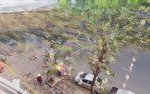 Trên tỷ/ năm bán nhà mặt phố tại đại la, 35 tỷ, 63m2, 7 tầng thang máy kinh doanh
