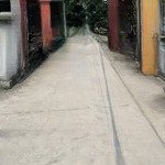 Bán đất tại xã thanh khương, 1,8 tỷ, 50m2, giá cực chất hàng hiếm tại bắc ninh