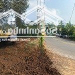 Hàng hiếm tại đường phan văn đáng, nhơn trạch, đồng nai, gần phà cát lái, 110m2. shr, full thổ