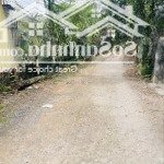 Chính chủ gửi bán đất 1 sẹc lý thái tổ, dt 205m2, thổ cư 100m, đường oto 7 chỗ, giá 2.95 tỷ