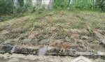 Bán đất đẹp tại đường 420, bình yên, thạch thất, hà nội, 89,2 m2. mt 5m