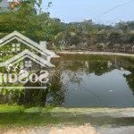 Chính chủ gửi bán đất tại thôn nam đại - xã quỳnh bảo - quỳnh phụ - thái bình