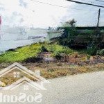 Kẹt tiền bán gấp mtđ cây gáo gần trường tiểu học tân lập, đồng nai, 120m2, shr