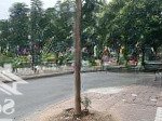 Siêu phẩm lô góc ngõ 189 nguyễn ngọc vũ 37m2 6 tầng mt 4.8m chỉ 7.6 tỷ