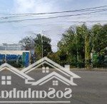Bán đất tặng nhà trệt 160m2 (7x23m) đường ôtô 4m dương đình hội phước long b q9 thủ đức cực rẻ 7tỷ