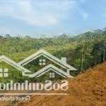 Bán gấp đất nền 3500m2 tại thị trấn măng đen, kon plông, kon tum, giá ưu đãi 850 triệu