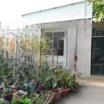 Cho thuê nhà cấp 4 đường vườn lài, p. an phú đông, q. 12