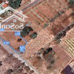 Bán lô đất tân hòa, phú mỹ mặt tiền đường nhựa thông thoáng