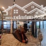 Không ảo, chính chủ gửi bán cc golden palm: 118m2 3n2vs 8.8 tỷ, lh 0936218111