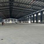 Cho thuê xưởng 27000m2 kcn phú mỹ 1, tx phú mỹ, brvt