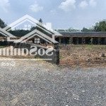 Bán gấp lô góc 2 mt nở hậu 184m2, tt trảng bàng giá 544tr, shr, công chứng ngay