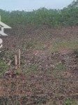 Bán đất tại đồng tâm lạc thủy hòa bình