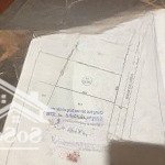 Bán đất tại nguyễn hữu cầu, phường 12, đà lạt, 6,5 tỷ, 200 m2