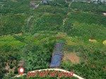 Bán gấp đất thổ cư 623m2 tại thị trấn di linh, 4 tỷ vnd