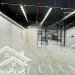 The pegasuite 2 shophouse 131m2 mặt bằng kinh doanh spa nail cửa hàng tiện lợi khai thác ngay