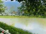 Biệt thự đơn lập view ngã ba sông trung tâm hội nghị almaz, lắp sẵn thang máy