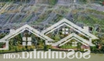 Bán nhanh biệt thự 300m2 grand village giá tốt nhất khu 14,6 tỷ có vat. lh 0765883388