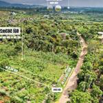 đất bảo lâm bảo lộc, 503m2 có 200m thổ cư