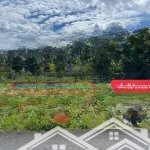 Tôi cần bán gấp lô đất 80m2 giá 1tỷ890 mặt tiền ngay trường thpt tân thông hội củ chi sổ hồng riêng