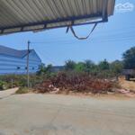Bán đất biển kdl cổ thạch, qh đường 29m - tuy phong, bình thuận, giá chỉ 6,5tr/m2