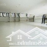 Nhà mặt phố cho thuê tại đường hoa lan, phường 2, phú nhuận, hồ chí minh, với diện tích sàn 150m2
