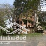 Sở hữu ngay căn biệt thự sang trọng tại khu đô thị hà phong tiền phong, nơi đáng sống bậc nhất