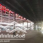 Cho thuê kho xưởng đang làm bao bì 2500m2 - xã hố nai 3. trảng bom, gần ql.1a. chỉ 50tr/tháng.