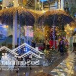 Bán đất mặt tiền đường nguyễn đình chiểu diện tích 152m2 ngang 8,1m cách biển 300m giá chỉ 14,5 tỷ