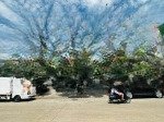 Nhà mặt tiền trung tâm hành chính dĩ an, phường dĩ an, tp dĩ an