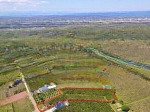 7764.2m2 đất thổ cư, mặt tiền đường nhựa lớn, view đồi chè và hồ cánh bướm rất đẹp