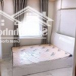 Bán chung cư phúc đạt dt 42m2 1pn 1wc, giá 910 triệu