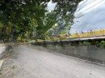 Cực nóng. bán gấp lô đất 74.1m2 đấu giá du nội, kinh doanh, gần vin cổ loa, đường dẫn cầu tứ liên