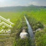 Bán đất tại đường 44, xã thái mỹ, củ chi, hcm, 6 triệu / m2, 20000 m2 hot!