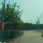 Bán đất 300m2 tc 200m2 ngay kdc xã mt đường bê tông sát trường tiểu học an linh. gọi 0325030897(vy)