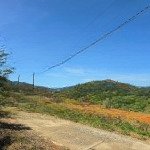 Tin vui cho khách đầu tư chủ gửi bán 1ha tại lộc đức - bảo lâm - có thổ cư