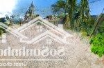 Làm giàu với đất thủy tú 438m2 liền kề bv yersin, mặt tiền 40m kinh doanh đa dạng nhiều loại hình