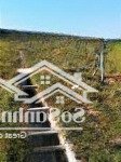 Bán đất tại thái mỹ, củ chi, hồ chí minh 5,9 triệu / m2, 19000 m2 chính chủ bao đẹp